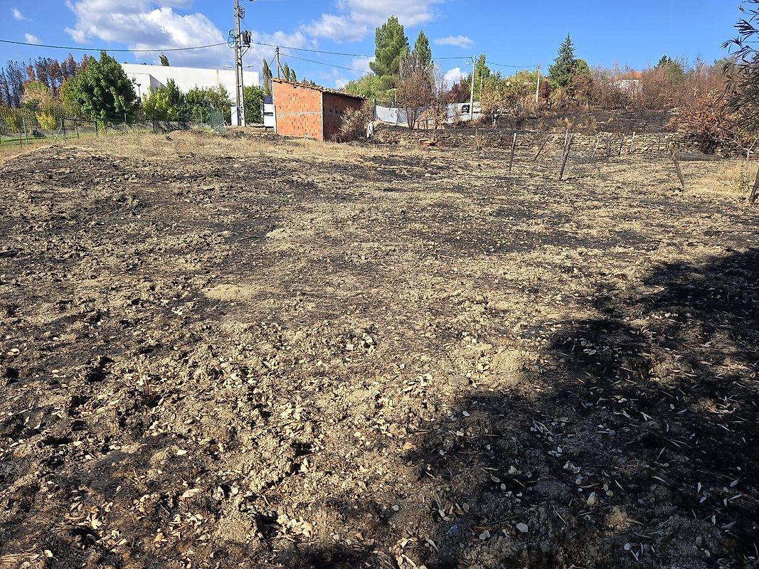 Terreno em Silvares — fotografia 1 de 31